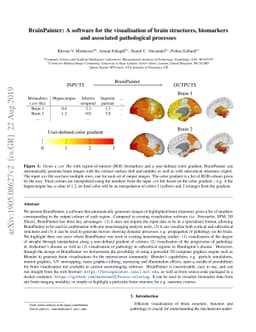 BrainPainter: A software for the visualisation of brain structures,
  biomarkers and associated pathological processes