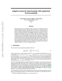 Adaptive norms for deep learning with regularized Newton methods