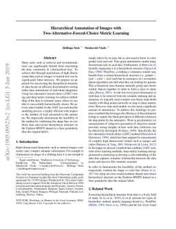 Hierarchical Annotation of Images with Two-Alternative-Forced-Choice
  Metric Learning