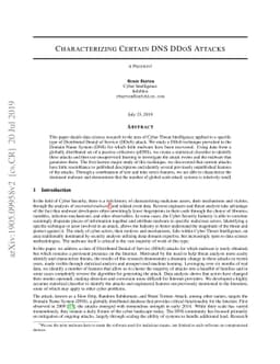 Characterizing Certain DNS DDoS Attacks
