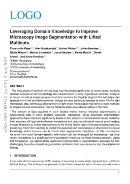 Leveraging Domain Knowledge to Improve Microscopy Image Segmentation
  with Lifted Multicuts