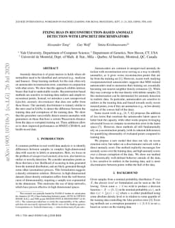 Fixing Bias in Reconstruction-based Anomaly Detection with Lipschitz
  Discriminators