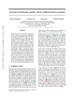 Semi-Supervised Learning, Causality and the Conditional Cluster
  Assumption