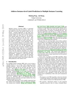 Address Instance-level Label Prediction in Multiple Instance Learning