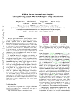 P3SGD: Patient Privacy Preserving SGD for Regularizing Deep CNNs in
  Pathological Image Classification