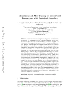 Visualization of AE's Training on Credit Card Transactions with
  Persistent Homology
