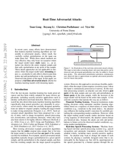 Real-Time Adversarial Attacks