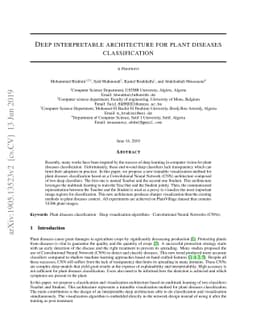 Deep interpretable architecture for plant diseases classification