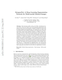 OctopusNet: A Deep Learning Segmentation Network for Multi-modal Medical
  Images
