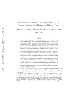 Probabilistic Structure Learning for EEG/MEG Source Imaging with
  Hierarchical Graph Prior
