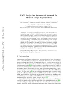 PAN: Projective Adversarial Network for Medical Image Segmentation