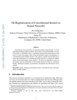 On regularization for a convolutional kernel in neural networks