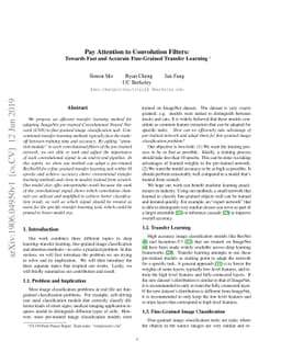 Pay Attention to Convolution Filters: Towards Fast and Accurate
  Fine-Grained Transfer Learning