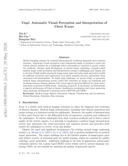 Vispi: Automatic Visual Perception and Interpretation of Chest X-rays