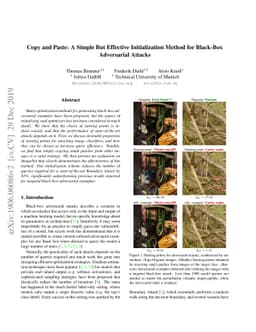 Copy and Paste: A Simple But Effective Initialization Method for
  Black-Box Adversarial Attacks
