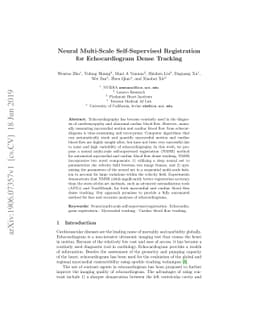 Neural Multi-Scale Self-Supervised Registration for Echocardiogram Dense
  Tracking