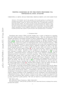 Testing goodness of fit for point processes via topological data
  analysis