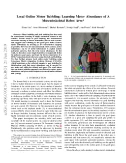 Local Online Motor Babbling: Learning Motor Abundance of A
  Musculoskeletal Robot Arm