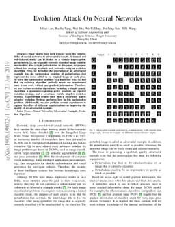 Evolution Attack On Neural Networks