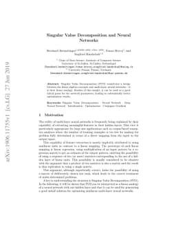 Singular Value Decomposition and Neural Networks