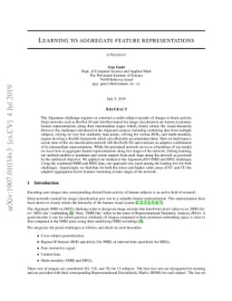 Learning to aggregate feature representations