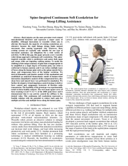 Spine-Inspired Continuum Soft Exoskeleton for Stoop Lifting Assistance