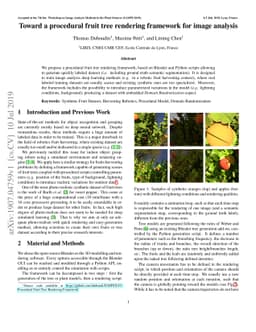 Toward a Procedural Fruit Tree Rendering Framework for Image Analysis