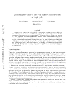 Estimating the division rate from indirect measurements of single cells