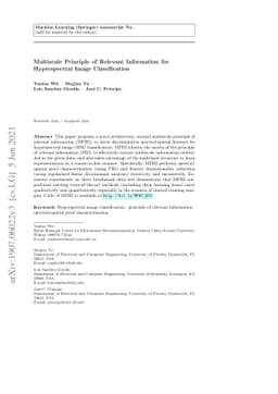 Multiscale Principle of Relevant Information for Hyperspectral Image
  Classification