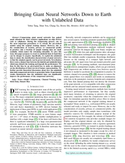 Bringing Giant Neural Networks Down to Earth with Unlabeled Data