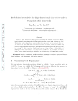 Probability inequalities for high dimensional time series under a
  triangular array framework