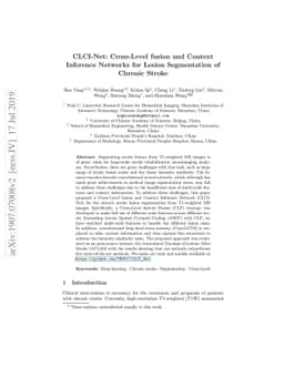 CLCI-Net: Cross-Level fusion and Context Inference Networks for Lesion
  Segmentation of Chronic Stroke