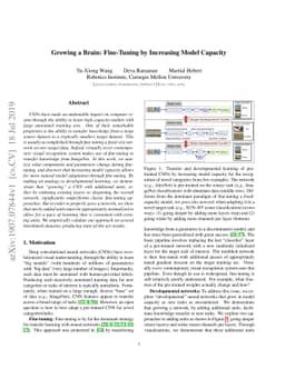 Growing a Brain: Fine-Tuning by Increasing Model Capacity