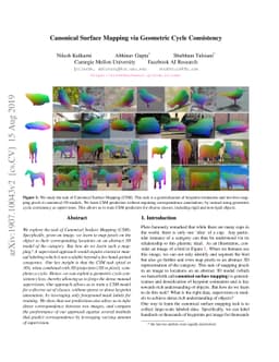 Canonical Surface Mapping via Geometric Cycle Consistency
