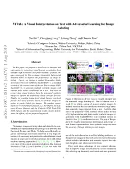 VITAL: A Visual Interpretation on Text with Adversarial Learning for
  Image Labeling