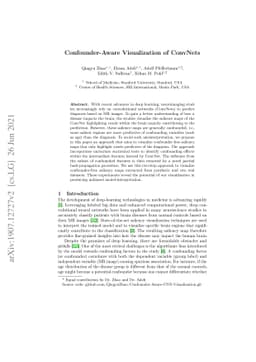 Confounder-Aware Visualization of ConvNets