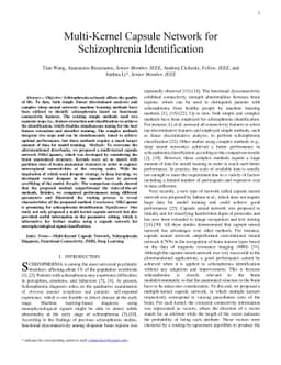 Multi-Kernel Capsule Network for Schizophrenia Identification