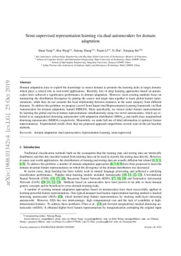 Semi-supervised representation learning via dual autoencoders for domain
  adaptation