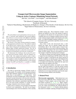 Unsupervised Microvascular Image Segmentation Using an Active Contours
  Mimicking Neural Network