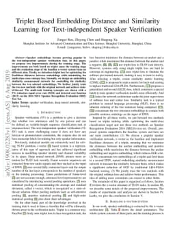 Triplet Based Embedding Distance and Similarity Learning for
  Text-independent Speaker Verification