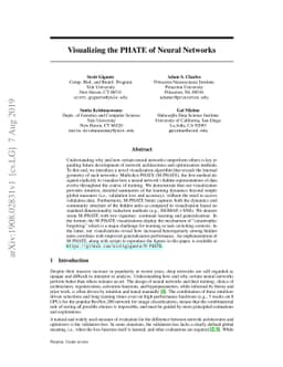 Visualizing the PHATE of Neural Networks