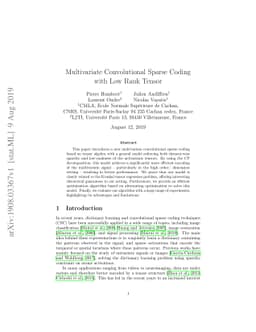 Multivariate Convolutional Sparse Coding with Low Rank Tensor