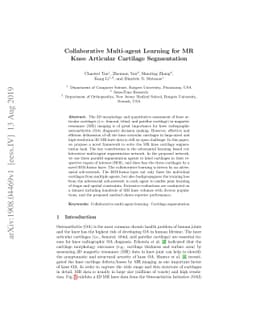 Collaborative Multi-agent Learning for MR Knee Articular Cartilage
  Segmentation