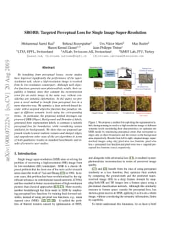 SROBB: Targeted Perceptual Loss for Single Image Super-Resolution