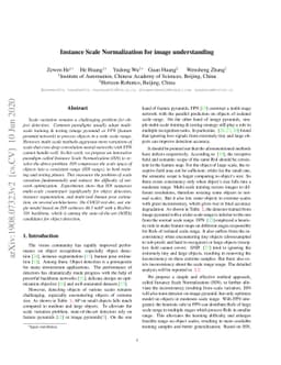 Instance Scale Normalization for image understanding