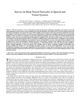 Survey on Deep Neural Networks in Speech and Vision Systems