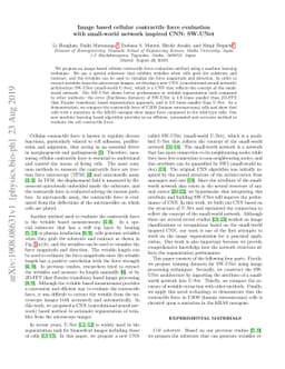 Image based cellular contractile force evaluation with small-world
  network inspired CNN: SW-UNet