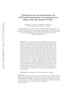 Topology-preserving augmentation for CNN-based segmentation of
  congenital heart defects from 3D paediatric CMR