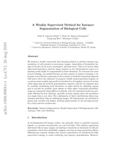 A Weakly Supervised Method for Instance Segmentation of Biological Cells