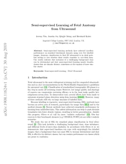 Semi-supervised Learning of Fetal Anatomy from Ultrasound